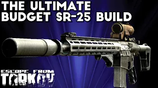 This Budget SR-25 Build Is Amazing! | Escape From Tarkov