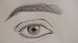 How to Draw a Realistic Eye | NARRATED | For Beginners |