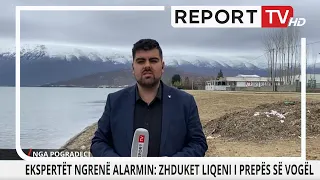 Ekspertët ngrenë alarmin: Zhduket Liqeni i Prespës së Vogël