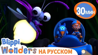 Светлячки | Обучающие мультики для детей | Blippi Russian