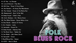 FOLK BLUES ROCK   ZZ TOP, ERIC CLAPTON, LYNYRD SKYNYRD, AEROSMITH,B B BKING,DEEP PURPLE,JIMI HENDRIX