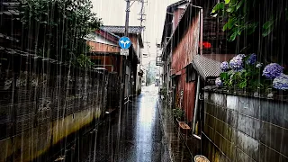 Japan Ultra rain walk / Heavy rain day/ Rain umbrella sound walk
