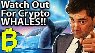 Watch The WHALES!! 101 Guide To Wallet Tracking!! 🐋