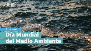 5 de Junio 2023 - Día Mundial del Medio Ambiente