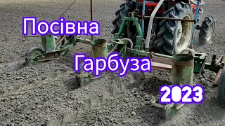 ГАРБУЗОВА СІВАЛКА ТОЧНОГО ВИСІВУ, ПОСІВНУ 2023 ЗАВЕРШЕНО. 17 гектарів під гарбуз