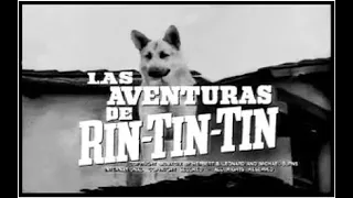 Las Aventuras de Rin Tin Tin - Serie de TV  ( Español Latino )