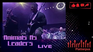 Animals As Leaders 🇺🇸- CAFO (Live in Adelaide April 2023)