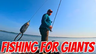 Bass Fishing for GIANT Florida Bass! (Lake Yale)
