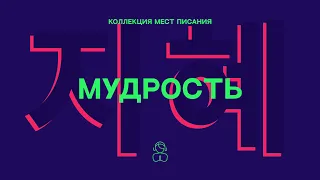 Мудрость — Коллекция мест Писания | Во Христе сокрыты все сокровища мудрости и знания.