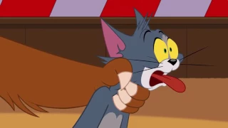 Tom & Jerry | Bear Blame |  zSMLz Emanu 0