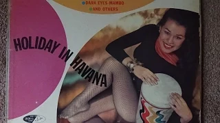 *More Vinyl Collectable Lounge LPs Records From The 60s