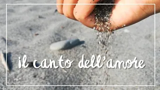 IL CANTO DELL'AMORE || cover by CasaBlu19