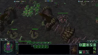 Zerg Guide for New Players in Zerg Hex