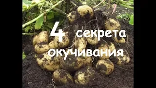 Как и когда правильно окучивать картофель. Сколько раз надо окучивать чтоб был хороший урожай