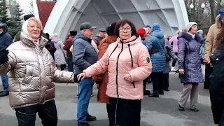 АХ, ТЮЛЬПАНЫ НЕЖНЫЕ ЦВЕТЫ! 2024 #dance #retrodancing