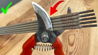 5 Minutes How To Sharpen Pruning Shears!