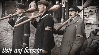 Volk ans Gewehr / 국민이여 무장하라