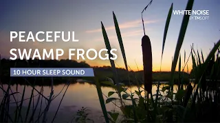 Peaceful Cattail Swamp Frogs, Bullfrogs, Toads, and Crickets Sleep Sound - 10 Hours - Black Screen