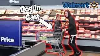 Running Off with People's SHOPPING Carts in WALMART!