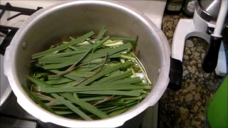 Oil Extraction from Herbs with DIY Kitchen Still