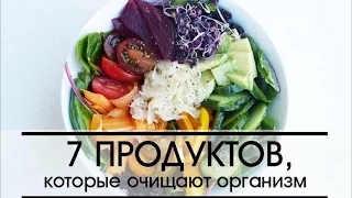 7 ПРОДУКТОВ КОТОРЫЕ ОЧИЩАЮТ И ЗАЩИЩАЮТ ОРГАНИЗМ