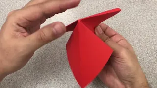 Origami Flapping Crane!!