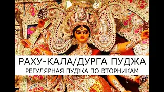 Дурга пуджа для женщин по вторникам 💃 Нейтрализация Куджа доши 💃 16.04.24, 12.30 по Мск