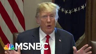 'The Damage Has Been Done' With Family Separation, Despite Trump Executive Order | MTP Daily | MSNBC