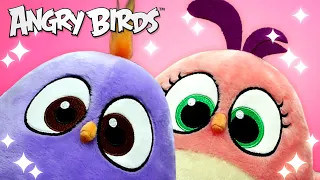 Angry Birds | What's Your Favorite Plushie?