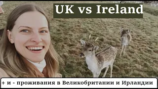 Великобритания и Ирланлия. Различия и особенности. UK vs Ireland