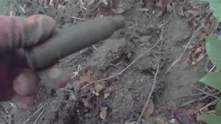 🎥 Часть15 Короткий коп с Minelab Go Find 20  и Ася 250