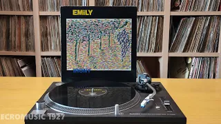 Emily | Reflect On Rye (12" vinyl)