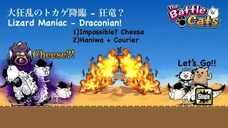 Battle Cats Manic King Dragon Cheese！Lizard Maniac Draconian Haniwa Cat Carry！