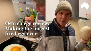 How to cook an Ostrich egg: Taste testing the ultimate omelette