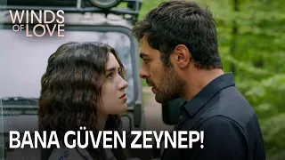 Will Halil and Zeynep find Zümrüt? | Winds of Love Episode 87 (MULTI SUB)