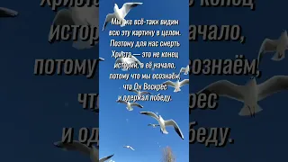 Доброе утро! Радуйтесь тому, что имена ваши записаны на небесах! Христианское пожелание