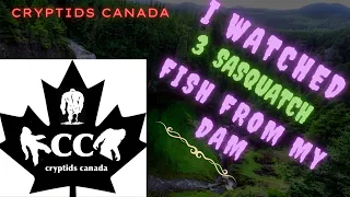 CC EPISODE 426 I WATCHED 3 SASQUATCH FISH FROM MY DAM