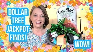 DOLLAR TREE | JACKPOT FINDS | WOW | TREASURE HUNT | I LOVE THE DT😁 #haul #dollartree