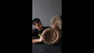 FOSSIL HUNTER FINDS VERY LARGE AMMONITE #Shorts