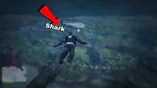 Where To Find Sharks In GTA 5 Director Mode