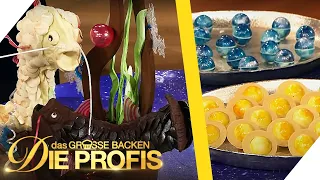 Wem sind die Sterne bei der Verkostung gewogen? |Verkostung 2| Das große Backen-Die Profis | SAT.1