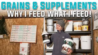 Grains & Supplements - Why I Feed What I Feed! | ZL Equestrian