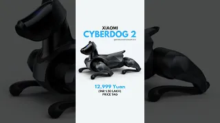 Xiaomi Cyber Dog 2 Launched!