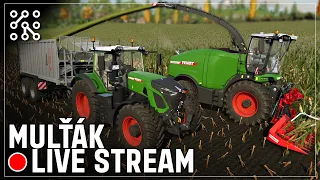 Vyděláváme na kravín | Farming Simulator 22 | Lets play | Česky