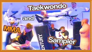 Taekwondo & MMA Sampler | Kicks & Flips | Ginger Ninja Trickster