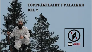 Toppfågeljakt i Paljakka - Del 2