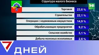 Лидер падения деловой активности в Татарстане - Бавлинский район. 7 дней | ТНВ