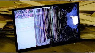 LG TV Destruction