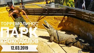 Andalusia 2019. Torremolinos. Park crocodiles.