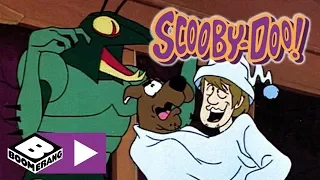 Scooby-Doo, Where are You!? | Mantis At Scoobys Door | Boomerang UK